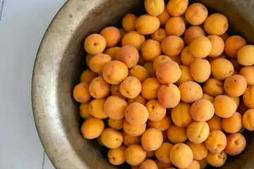 Kayısı Sipariş Ver: Malatya Kayısısı Nasıl Alınır?